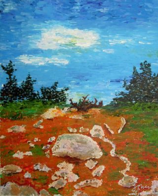 Rocks